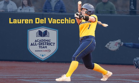 Lauren Del Vacchio swings a bat with her name and the Academic All-District seal next to her.